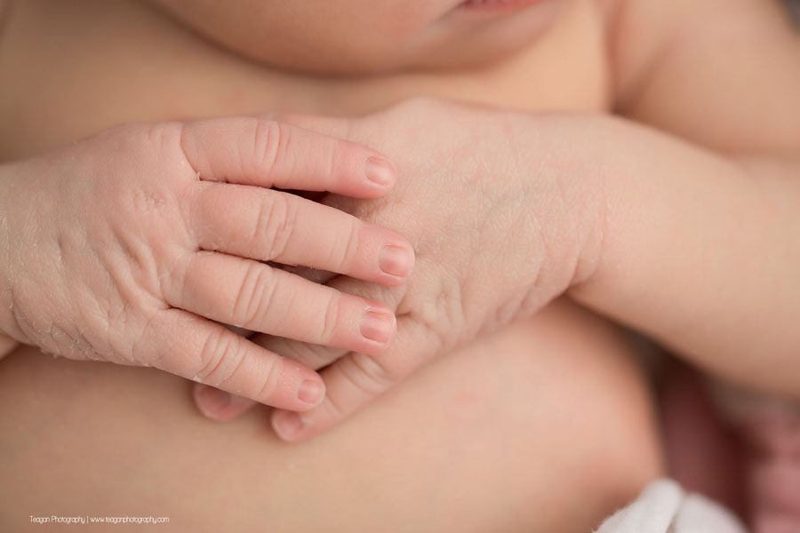 a close up of a newborn baby girl's hands in an Edmonton newborn photo sessiona close up of a newborn baby girl in an Edmonton newborn photo session