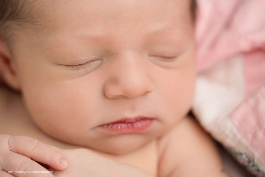 a close up of a newborn baby girl in an Edmonton newborn photo session