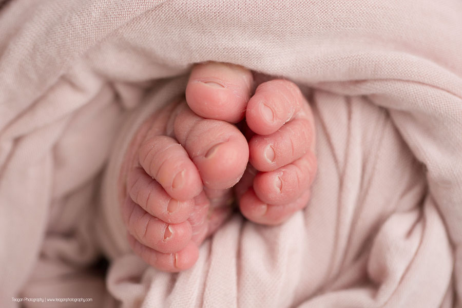 a close up of a newborn baby girl's toes in an Edmonton newborn photo session