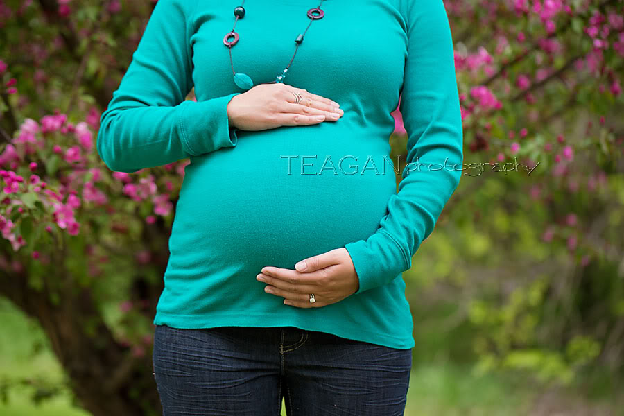 Close up of baby bump with pink cherry blossom trees background in YEG