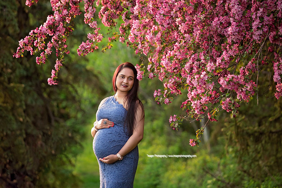 An East Asian mother poses for maternity photographs underneath a blooming cherry tree in Edmonton