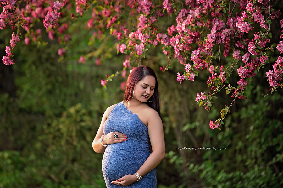 An East Asian mother poses for maternity photographs underneath a blooming cherry tree in Edmonton