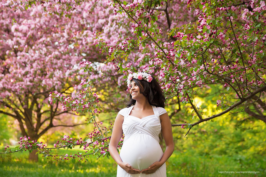 A background of sunshine and Edmonton cherry blossoms trees for a pregnant mother's maternity photo shoot 