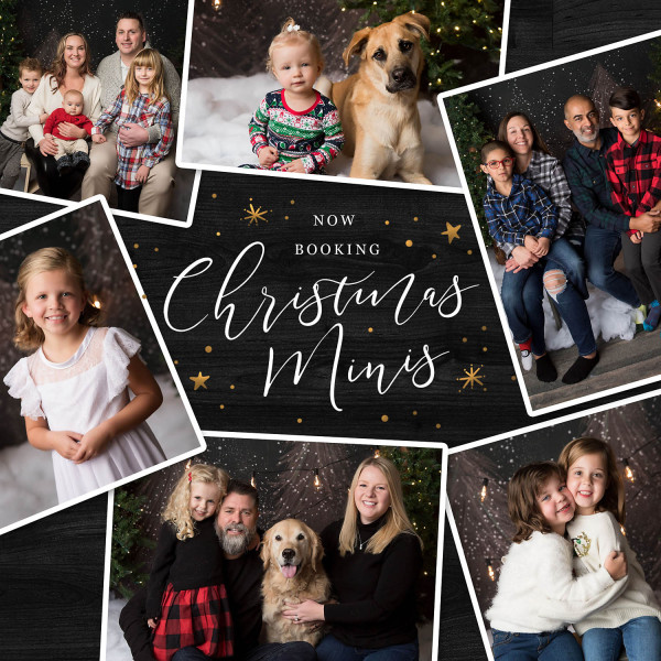 Christmas minis in Edmonton November 14, 15, and 16